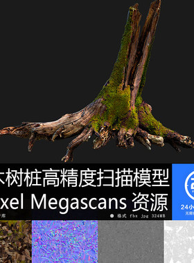 枯木树桩高精度扫描资源高清模型贴图材质PBR4K