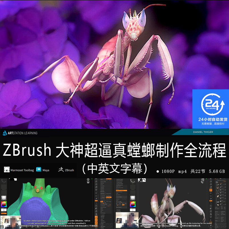精翻中英文-ZBrush大神超逼真螳螂制作全流程电影生物游戏次世代