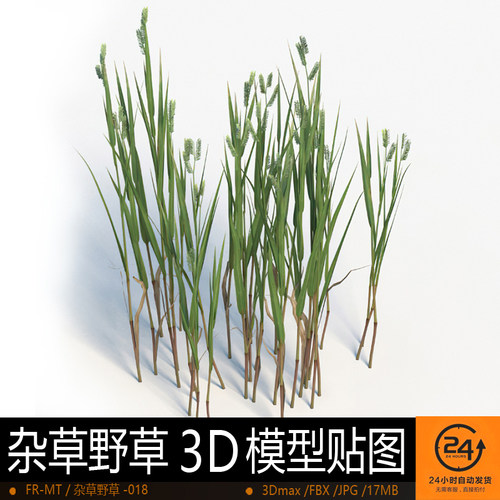 杂草野草-018模型3DMAX环境效果图影视游戏次世代场景地形建模