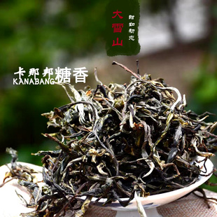 2025年大雪山古树春茶细腻清甜花香糖香 普洱茶生茶 散茶500克