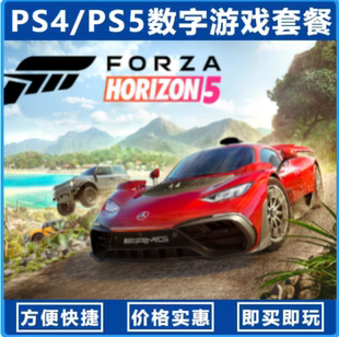 地平线5（国行送备份盘）中文单机