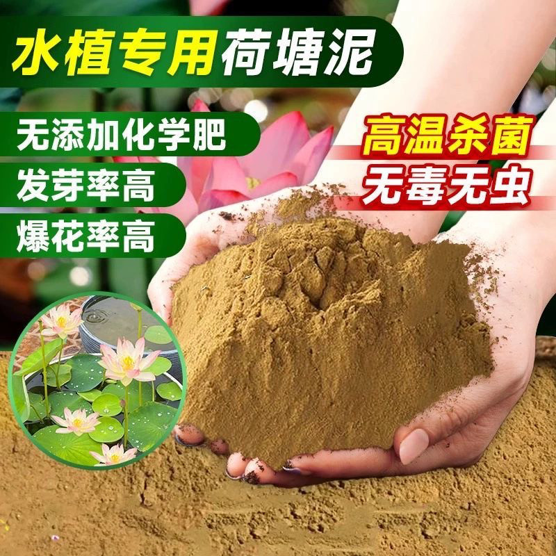 荷塘泥碗莲睡莲专用塘泥铜钱草荷花淤泥河泥水生植物通用营养泥土