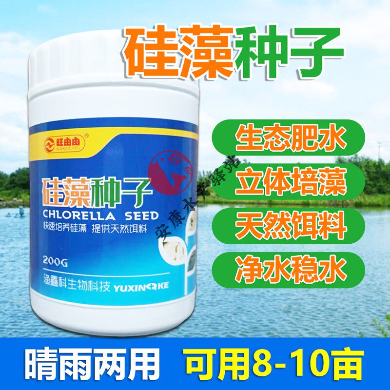 硅藻种水产养殖虾蟹鱼塘调水增氧抑制蓝藻肥水培藻天然藻种小球藻