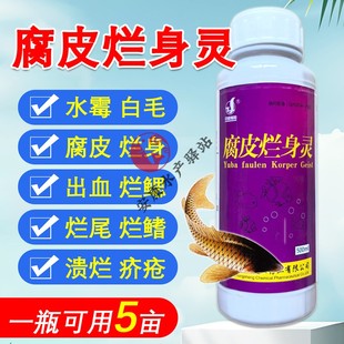 腐皮烂身灵水产养殖鱼虾蟹甲鱼腐甲溃疡出血烂鳃溃烂停水霉腐皮康
