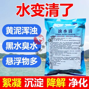 浊水清池塘水质净化剂铁锈水酱油水黑臭水黄浑浊水变清解毒净水宝