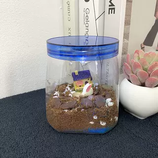 迷你生态种植观察窗科学实验