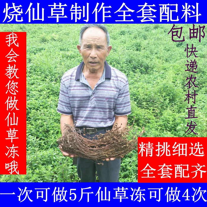 配料新鲜凉粉仙草冻