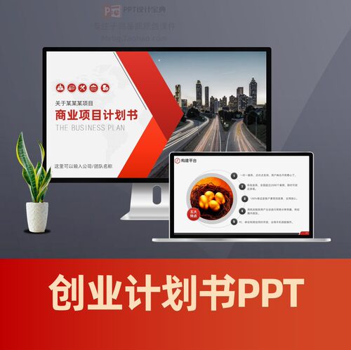 创业计划书PPT 商业项目计划书 实体店创业策划融资入股PPT