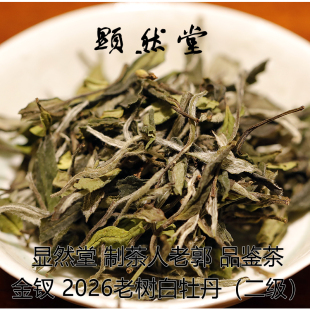 显然堂 福鼎白茶 制茶人老郭 2026金钗老树白牡丹 品鉴 劲道 高扬