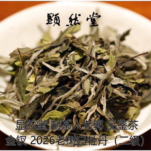 显然堂 福鼎白茶 制茶人老郭 2026金钗老树白牡丹 品鉴 劲道 高扬