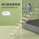 鹦鹉笼攀爬梯子亚克力云梯多层加宽玄凤虎皮牡丹专用鸟玩具用品