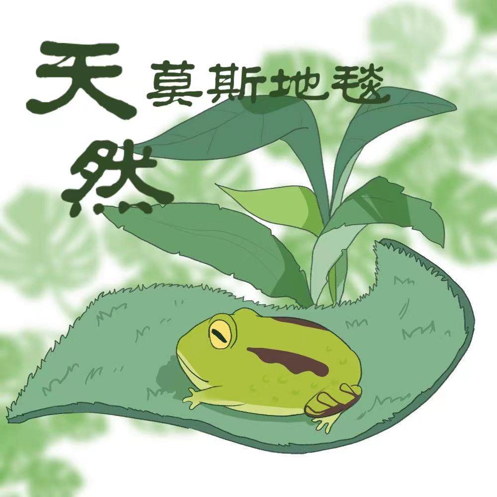 爬宠造景莫斯地毯宠物绿角蛙垫材雨林缸保湿超角蛙泥多次循环使用
