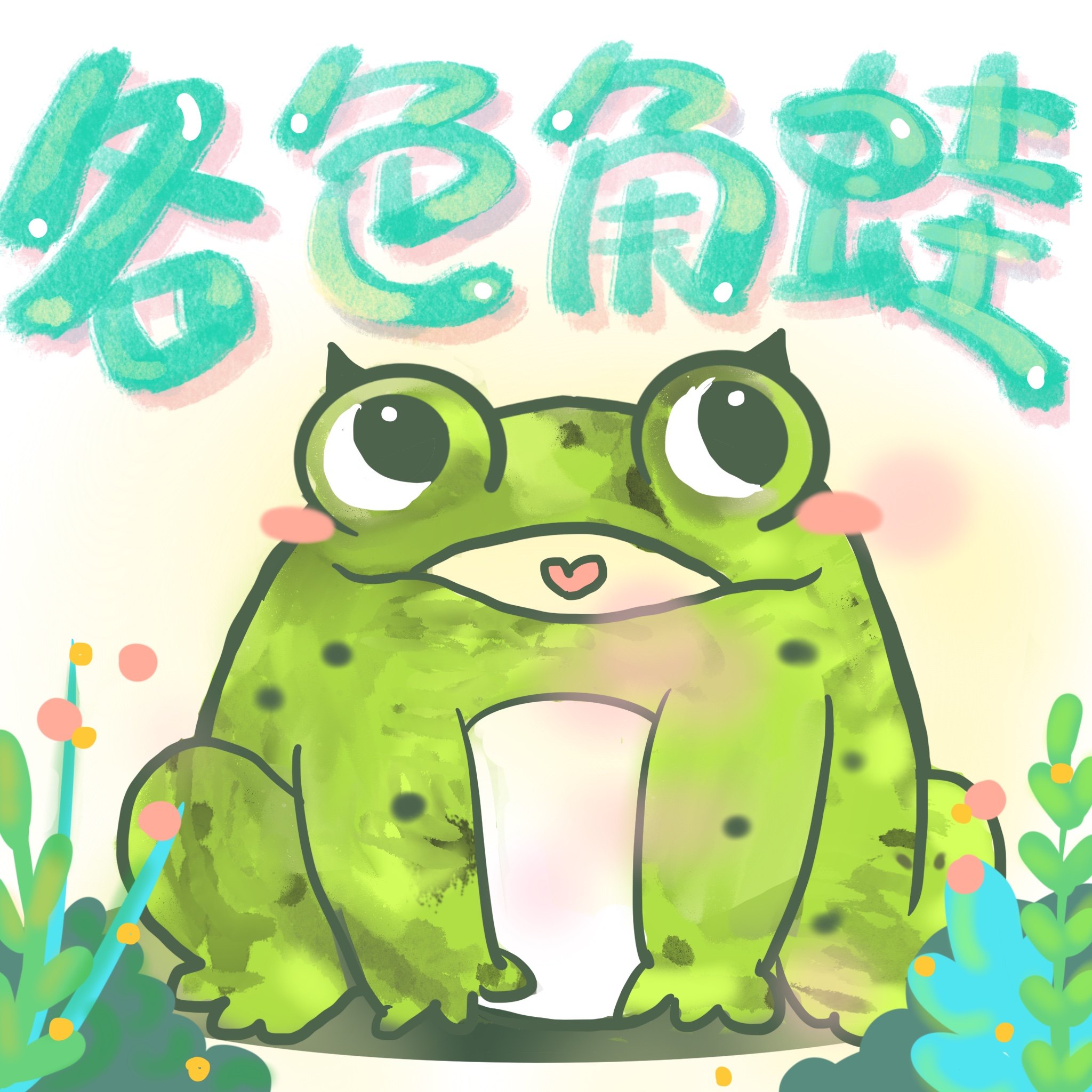 守宫哥哥角蛙宠物温顺容易饲养