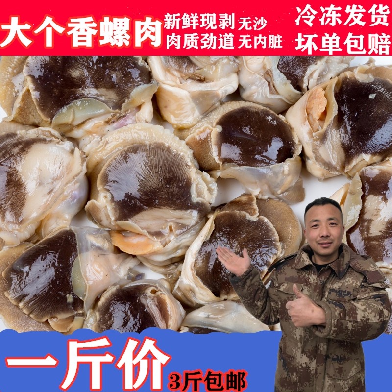 香螺肉新鲜海鲜海螺肉玉螺冷冻海螺肉 内脏已去除 刺身香螺500克