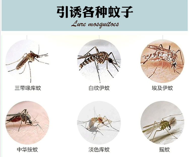 (大号灭蚊剂)专用诱蚊剂灭蚊诱饵二氧化碳增强仿生诱蚊效果