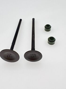 适用电喷锐爽EN150/-A 悦酷GZ150-A/E气门杆 气阀杆 进排气门组合