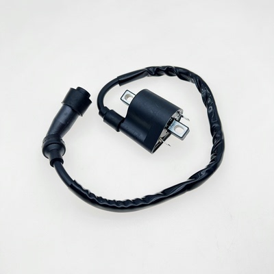 适用龙嘉LJ300 VMAXie300维多利亚150 XDV250si高压包点火线圈