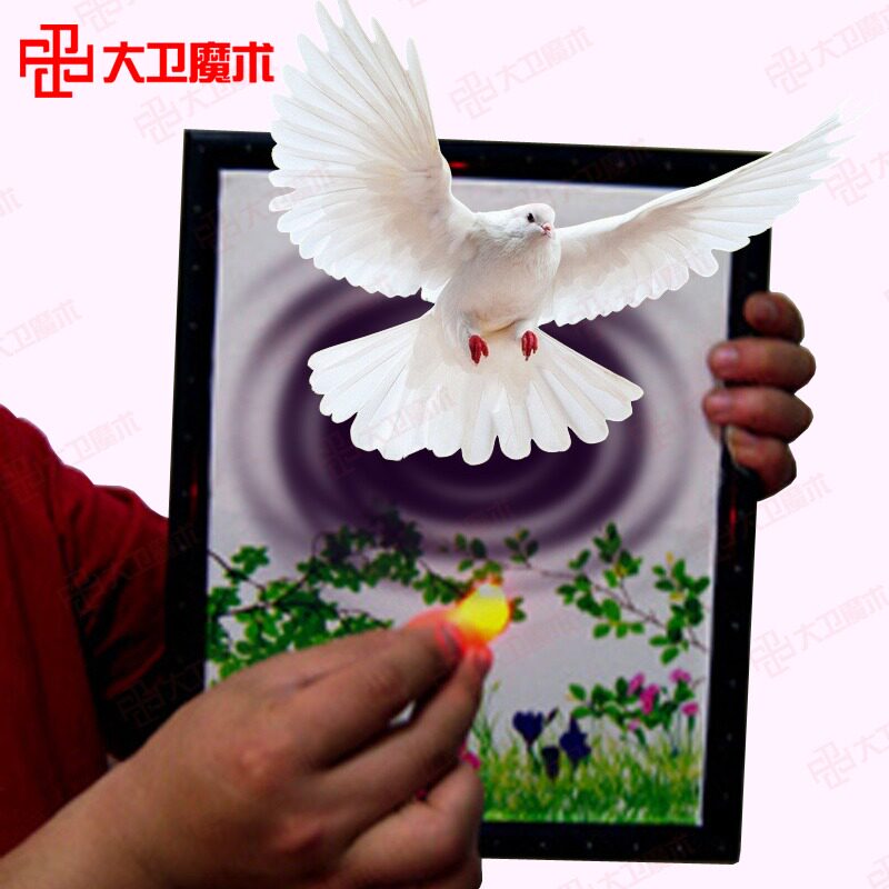 大卫舞台魔术道具奇幻亮灯鸽变鸽子魔术道具空板变鸽子才艺表演