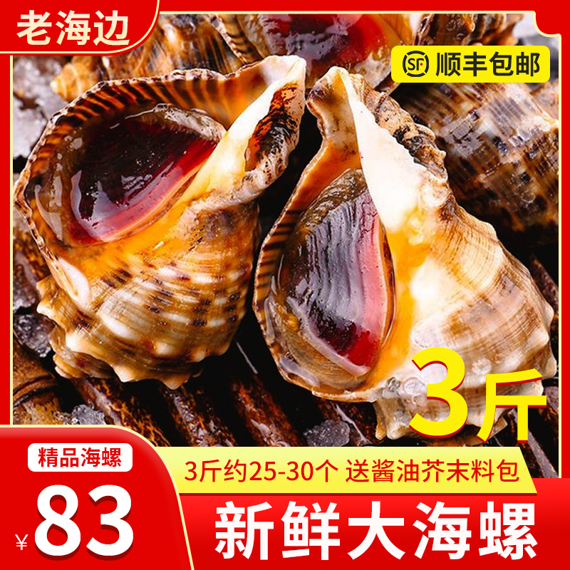 现挖鲜活大海螺活着发出新鲜到货