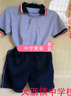 南海区大沥镇 盐步三中 校服（夏装）