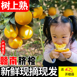 江西赣南脐橙新鲜橙子赣州安远产地直发当季孕妇水果整箱大果现摘
