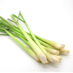 泰国新鲜香茅草100克约4根 柠檬草干泰式香草冬阴功汤调味料