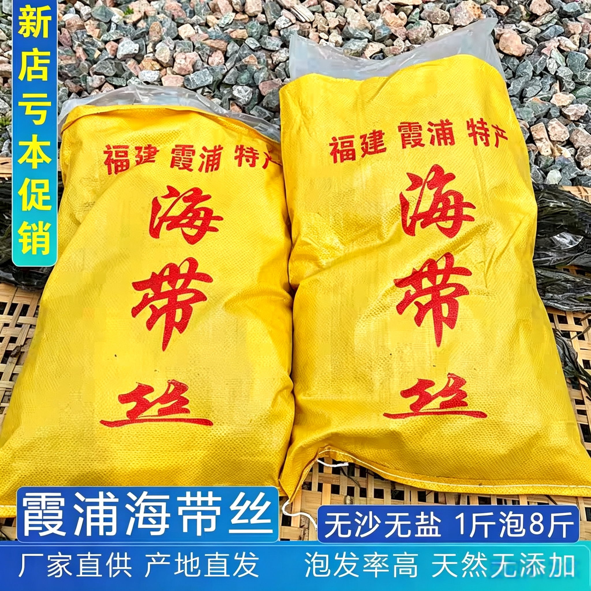 当季新品福建特产厚干海带丝新鲜凉拌牛肉面店专用速食