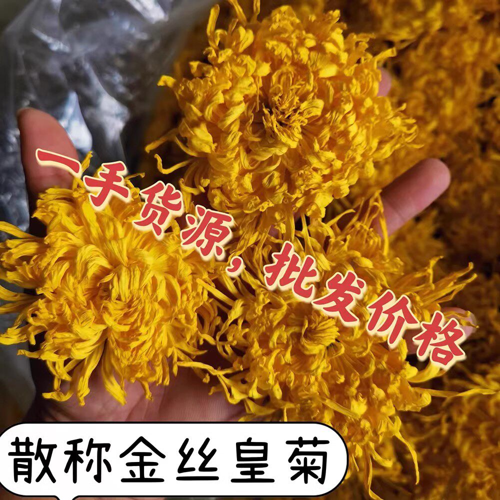 金丝贡菊皇菊散装特大菊花茶整箱1斤500克批商发用饭店火锅店胎菊