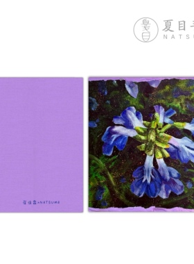 339「NATSUME x 崔佳霖·牵牛花」手工随身旅行水彩手账速写本