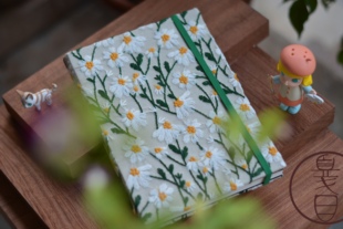 014c 手工随身旅行水彩本手账速写本300g棉浆阿诗宝虹获 大滨菊