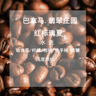 26年巴拿马红标瑰夏 翡翠庄园玫瑰花蔗糖浅度烘焙手冲精品咖啡豆