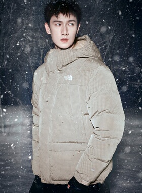 25新款TheNorthFace北面羽绒服男户外防泼水鹅绒保暖棉羽外套8DUJ
