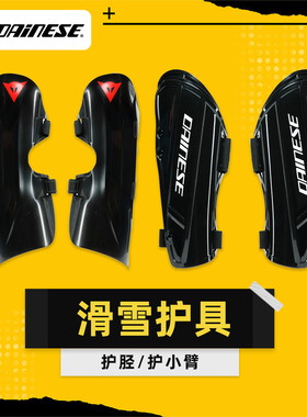 AZEREI阿哲瑞DAINESE丹尼斯滑雪护甲背心护腿板护臂