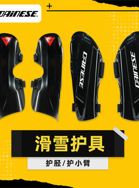 AZEREI阿哲瑞DAINESE丹尼斯滑雪护甲背心护腿板护臂