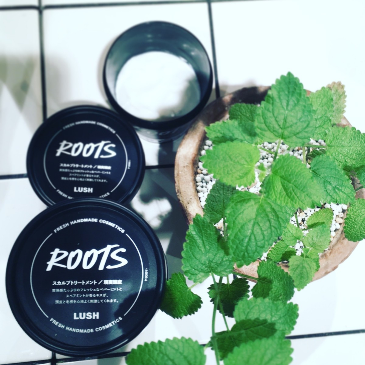 现货lush发根营养roots洗发前深层滋养头皮疏通毛囊养发固发去屑