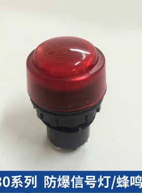 BD8030防爆信号灯12V24V36V220V380V红黄绿白色防爆防腐信号灯