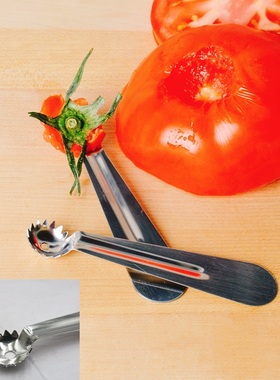 葡萄牙ICEL不锈钢番茄草莓去蒂器苹果辣椒去芯器水果果挖食品级