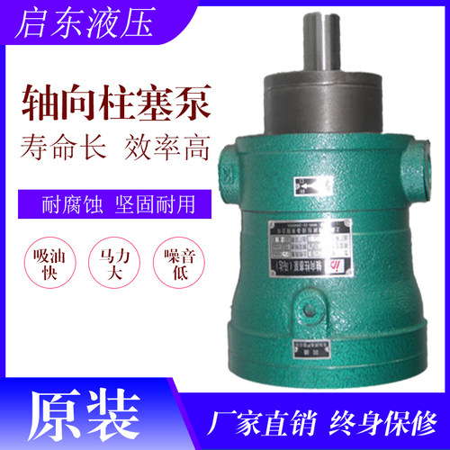 启东液压厂家轴向柱塞泵