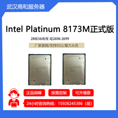 志强 Platinum铂金8173M CPU正式版 28核56线程 超2696 2699