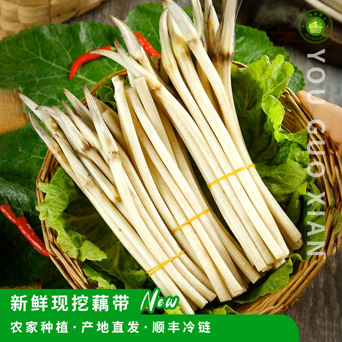 正宗湘潭藕尖现挖新鲜藕带湖南特产脆嫩藕根应季蔬菜顺丰冷链发货