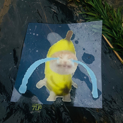 哭泣的香蕉猫贴纸像素meme迷因