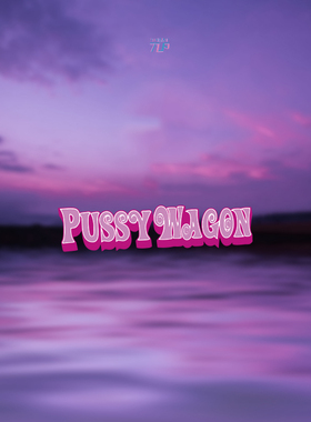 TLP反光车贴 杀死比尔昆汀电影Kill Bill皮卡PUSSY WAGON文字贴纸