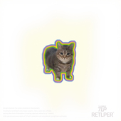 饰平面防水贴纸 可爱meme汽摩装 RETLPER反光贴纸 oiiai旋转电音猫