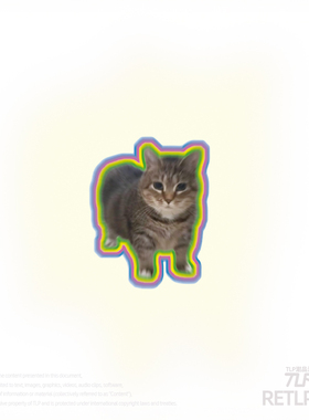 RETLPER反光贴纸 oiiai旋转电音猫 可爱meme汽摩装饰平面防水贴纸