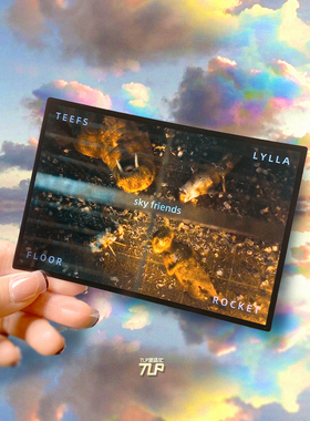 TLP反光车贴 火箭浣熊的动物天空朋友们 银护3笔记本平面装饰贴纸