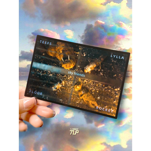 TLP反光车贴 火箭浣熊的动物天空朋友们 银护3笔记本平面装饰贴纸