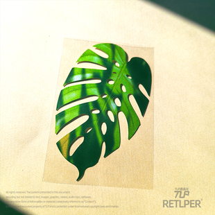 龟背竹 树荫下 植物叶片平面防水贴纸 原创 RETLPER镂空贴