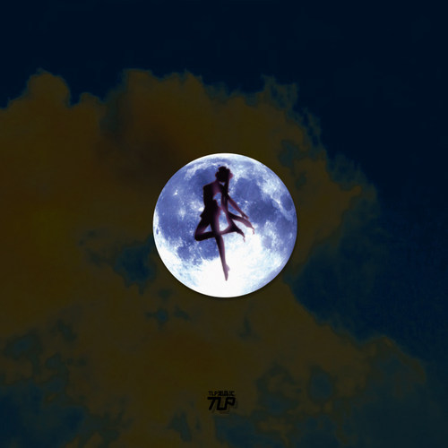 美少女战士贴纸月野兔月亮变身