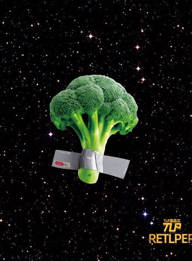 RETLPER反光贴 原创 菜花 有财花 西蓝花胶带立体感防水汽摩贴纸