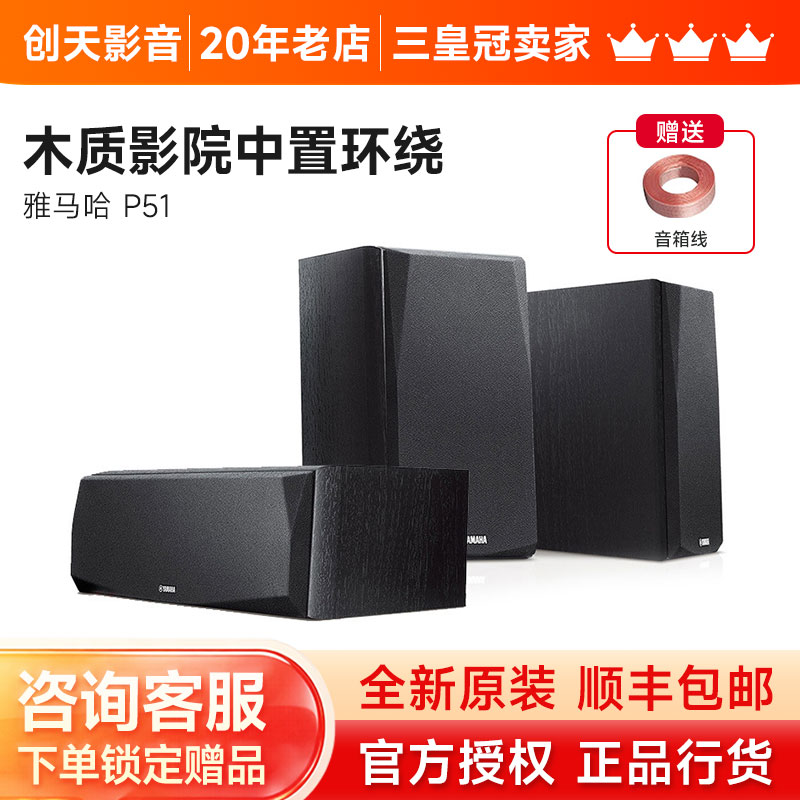Yamaha/雅马哈 NS-P51中置环绕音箱5.1家庭影院套装hifi音响家用